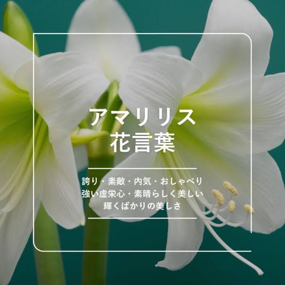 松嶋かえで